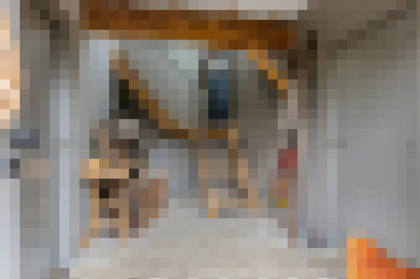 Putakker 3 Boekel thumbnail 11