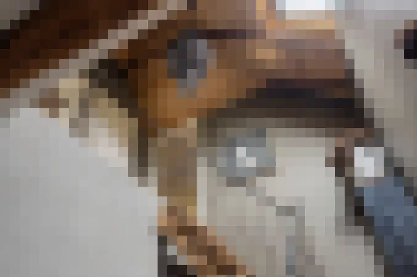 Putakker 3 Boekel thumbnail 13