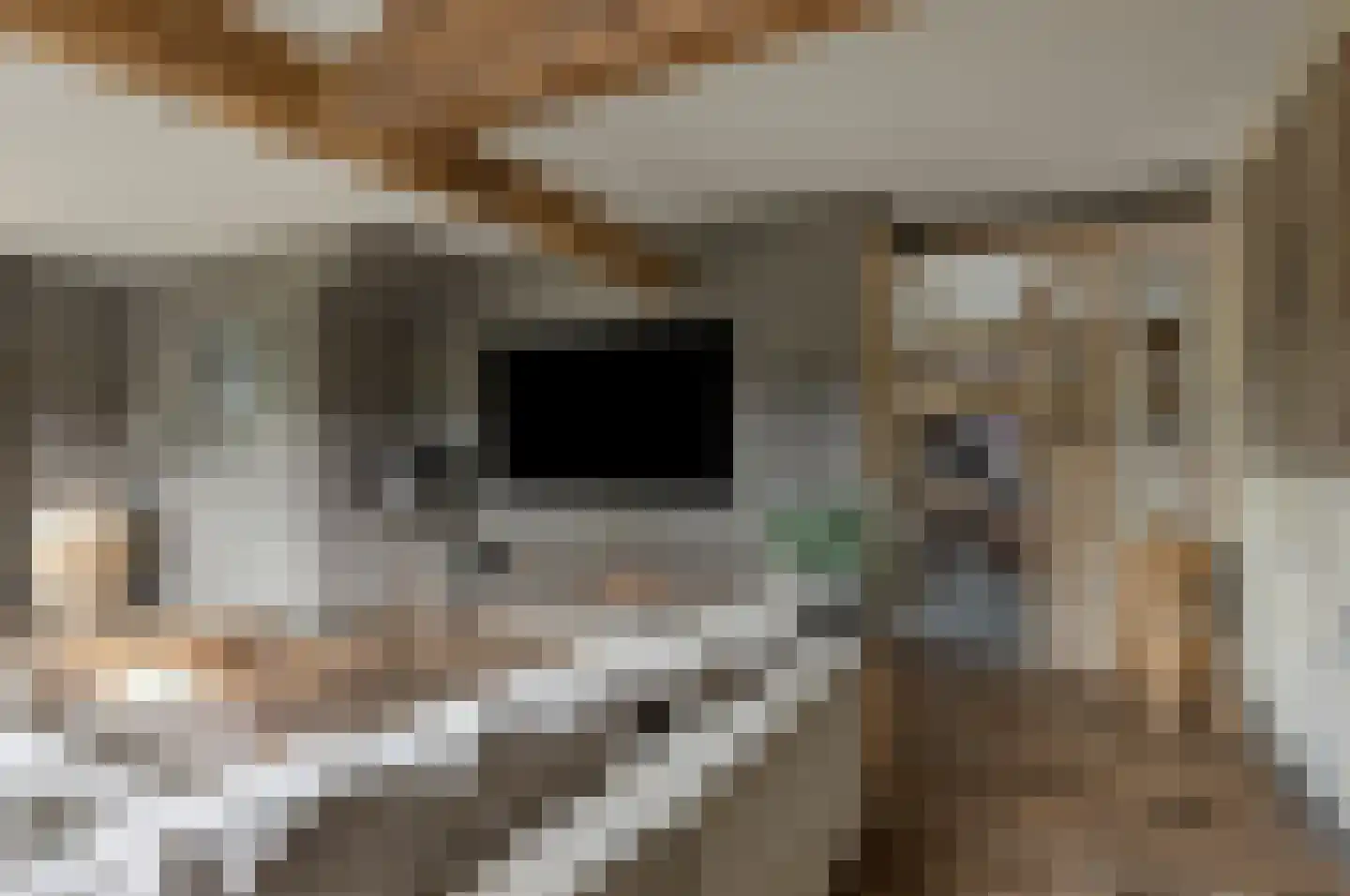 Putakker 3 Boekel thumbnail 15