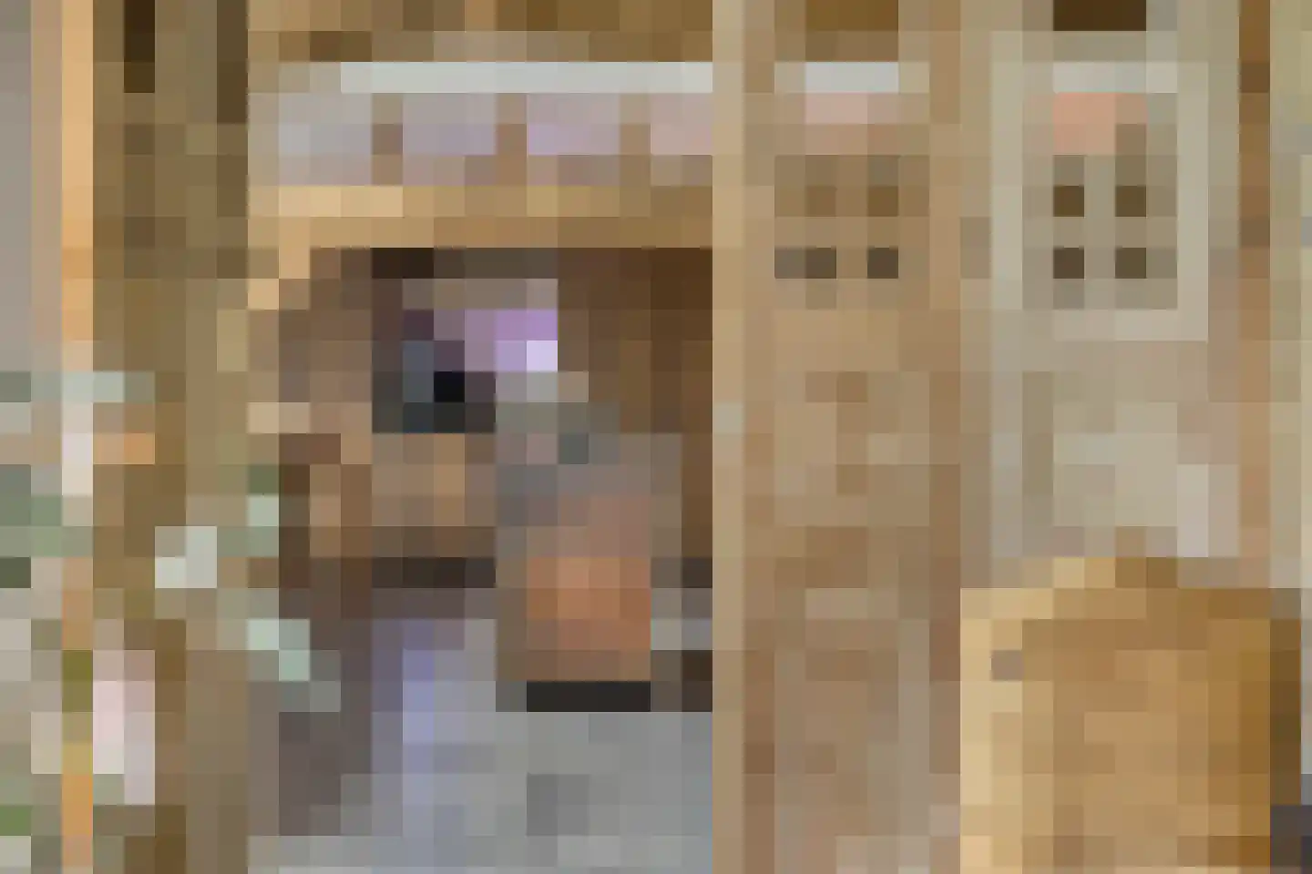 Putakker 3 Boekel thumbnail 17