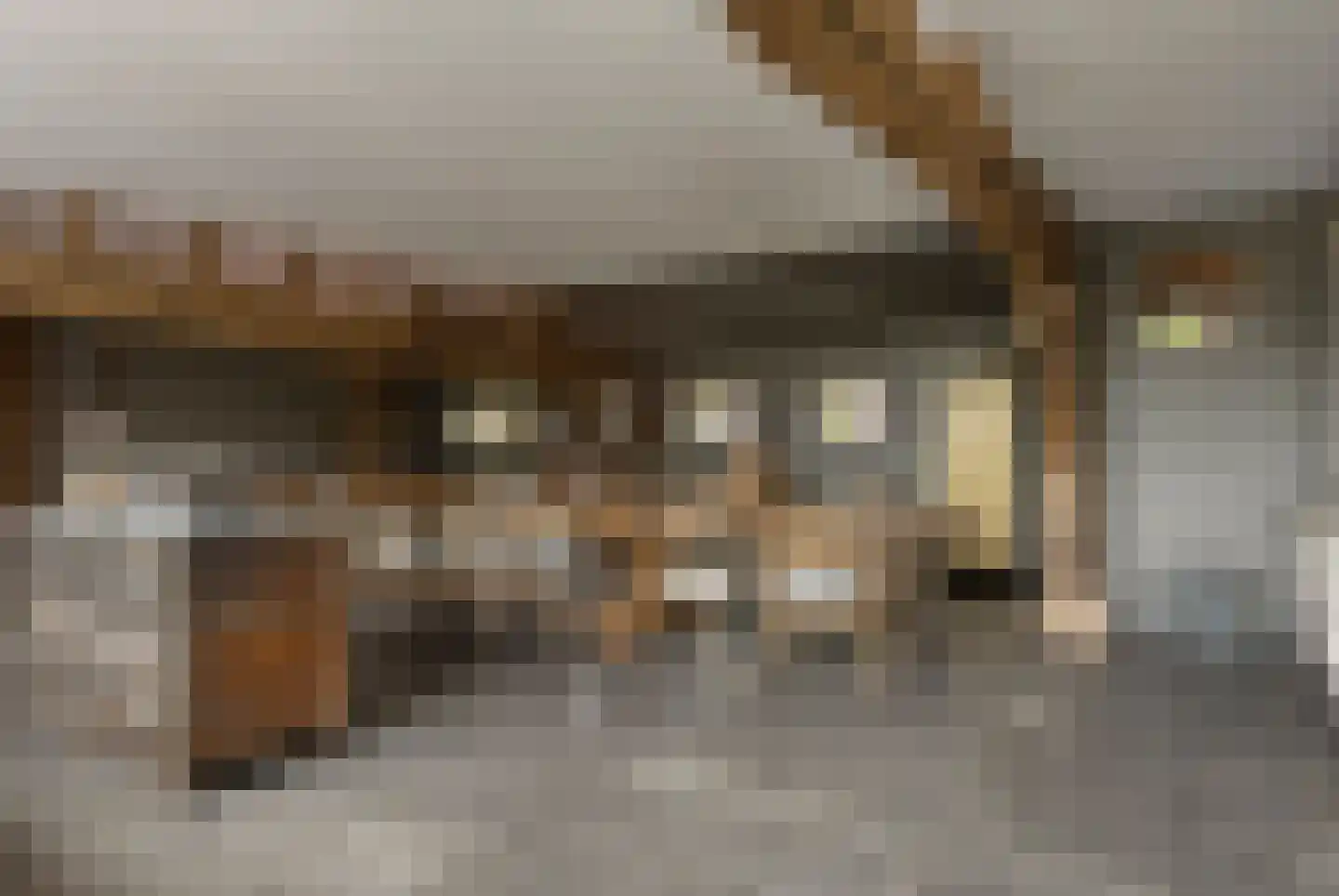 Putakker 3 Boekel thumbnail 18