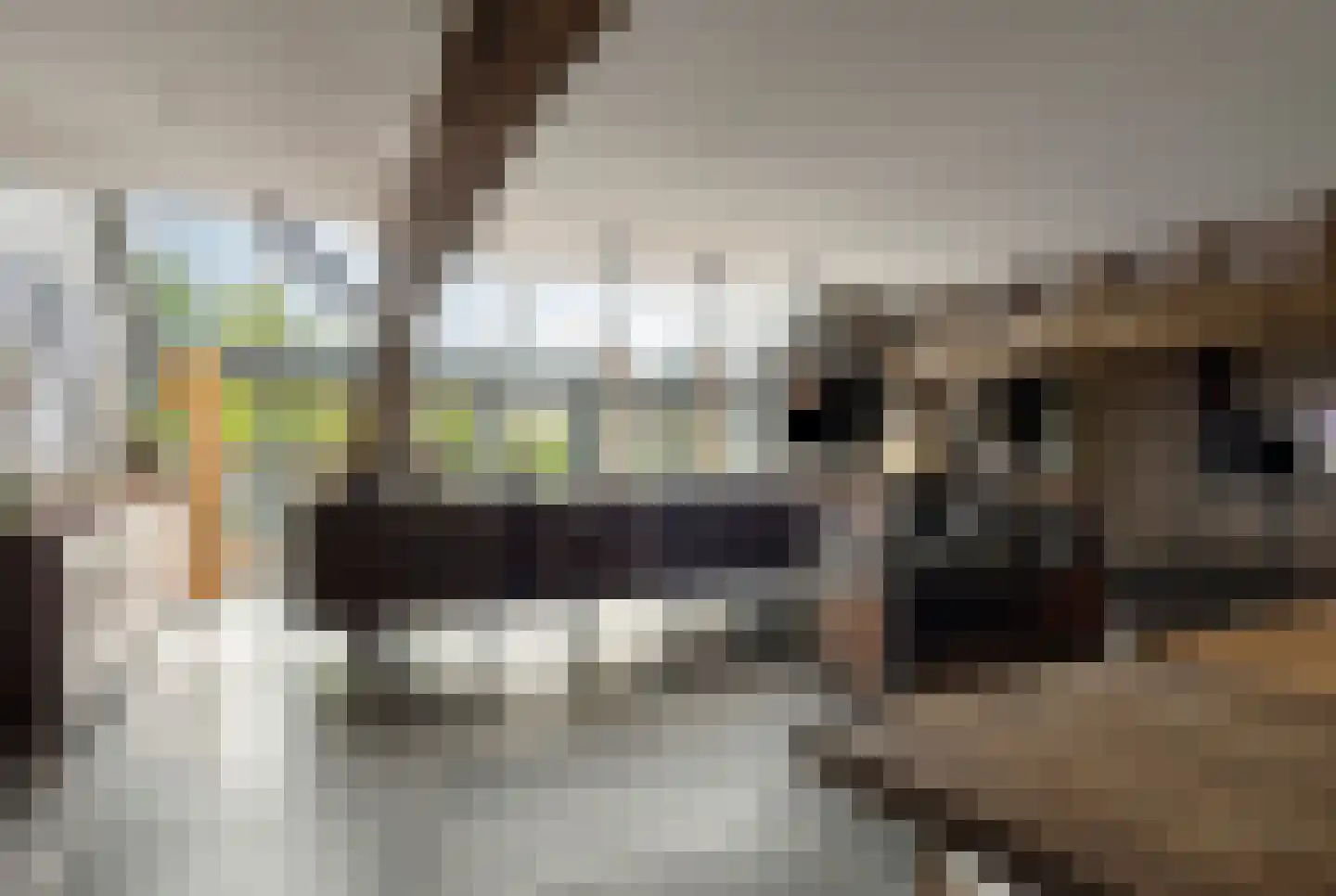 Putakker 3 Boekel thumbnail 19