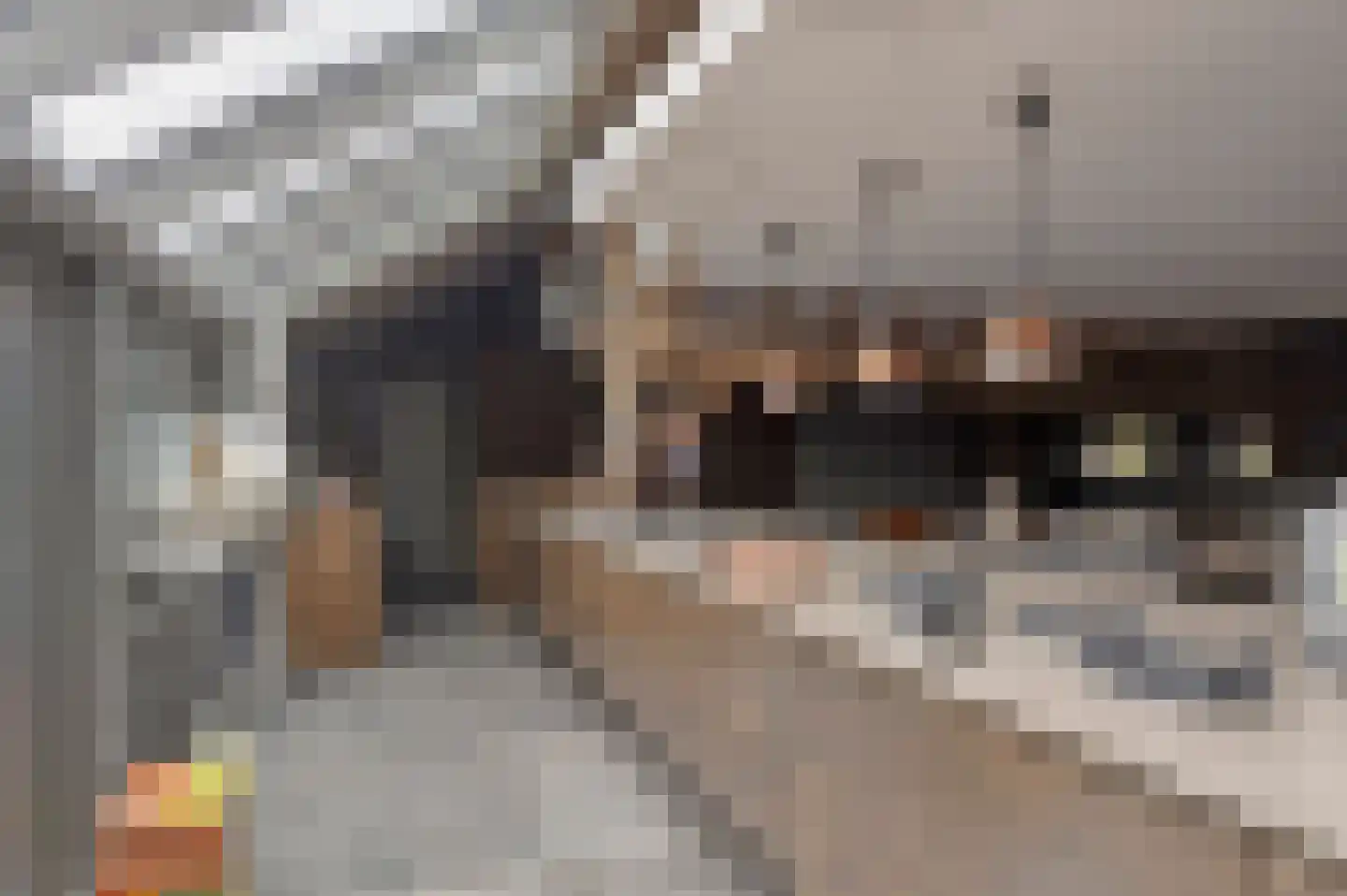 Putakker 3 Boekel thumbnail 21