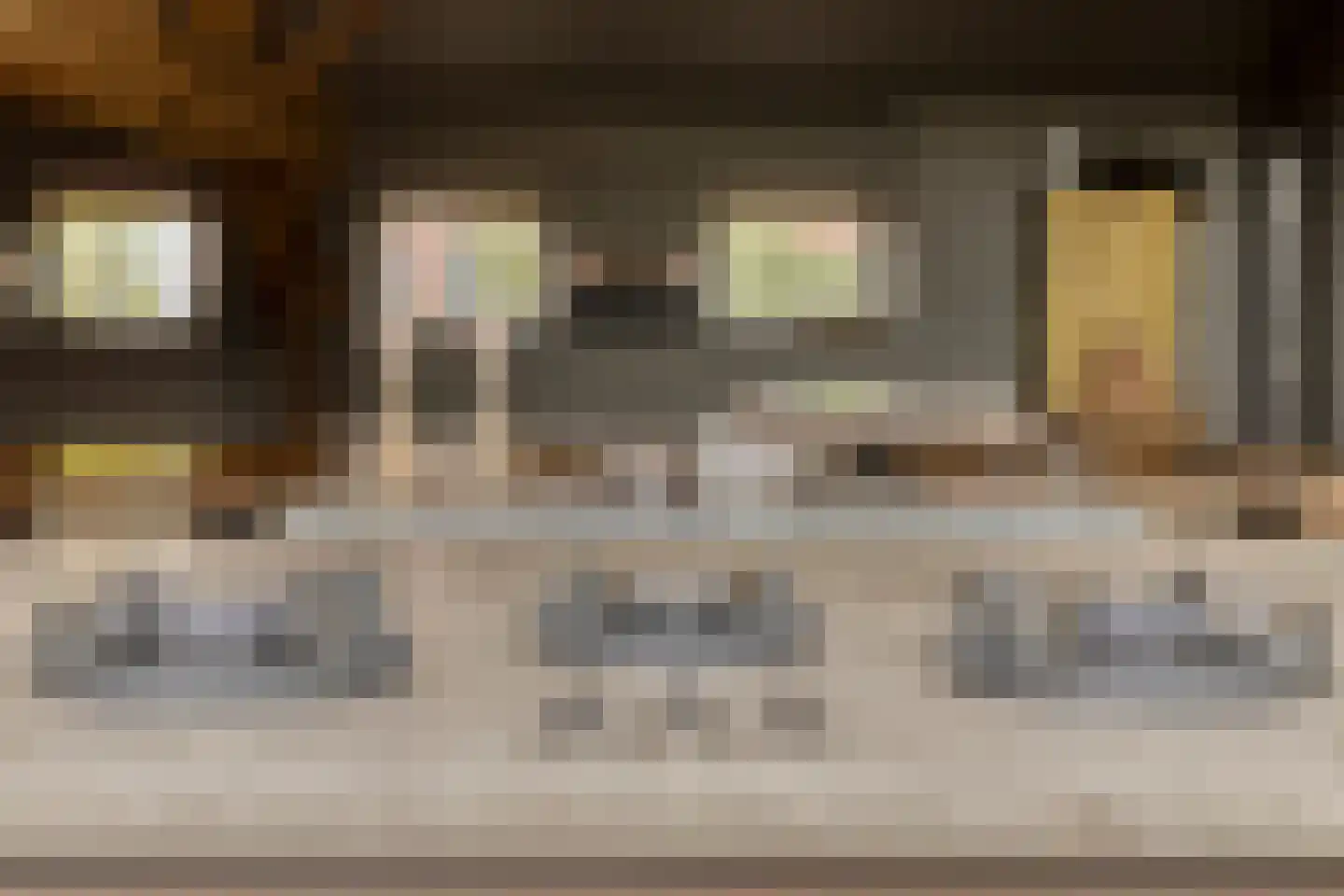 Putakker 3 Boekel thumbnail 24