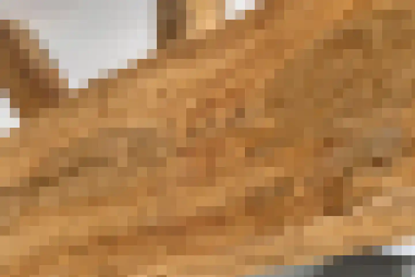 Putakker 3 Boekel thumbnail 34