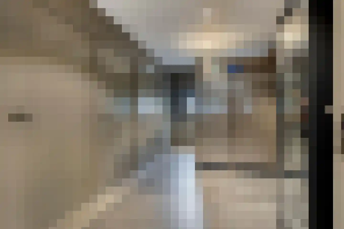 Putakker 3 Boekel thumbnail 35