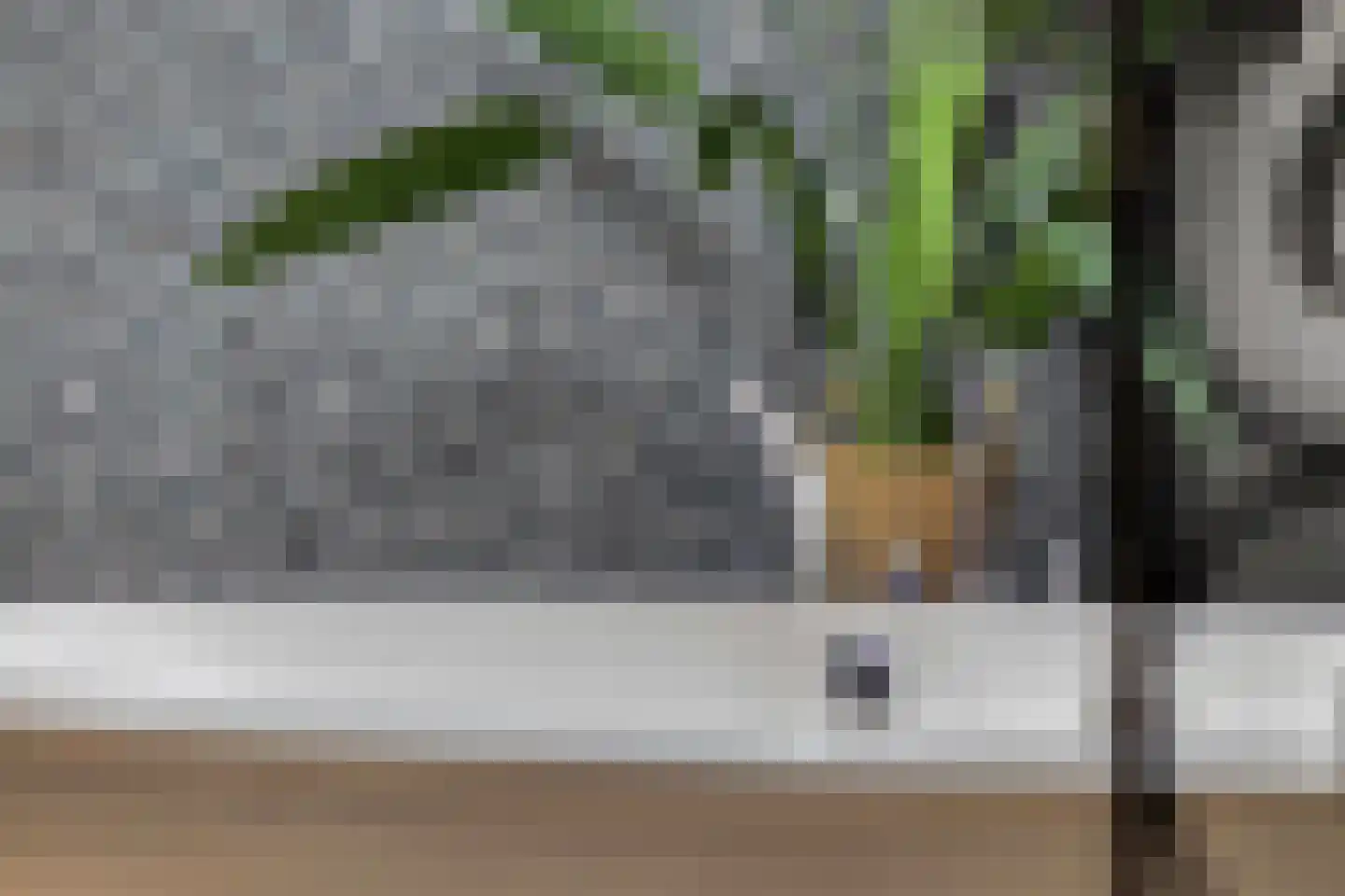 Putakker 3 Boekel thumbnail 39