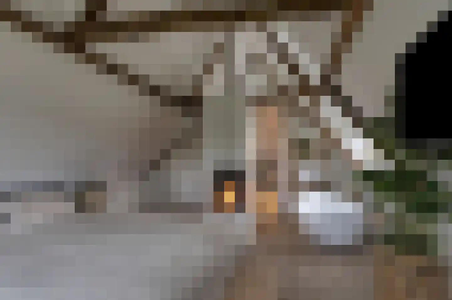 Putakker 3 Boekel thumbnail 4