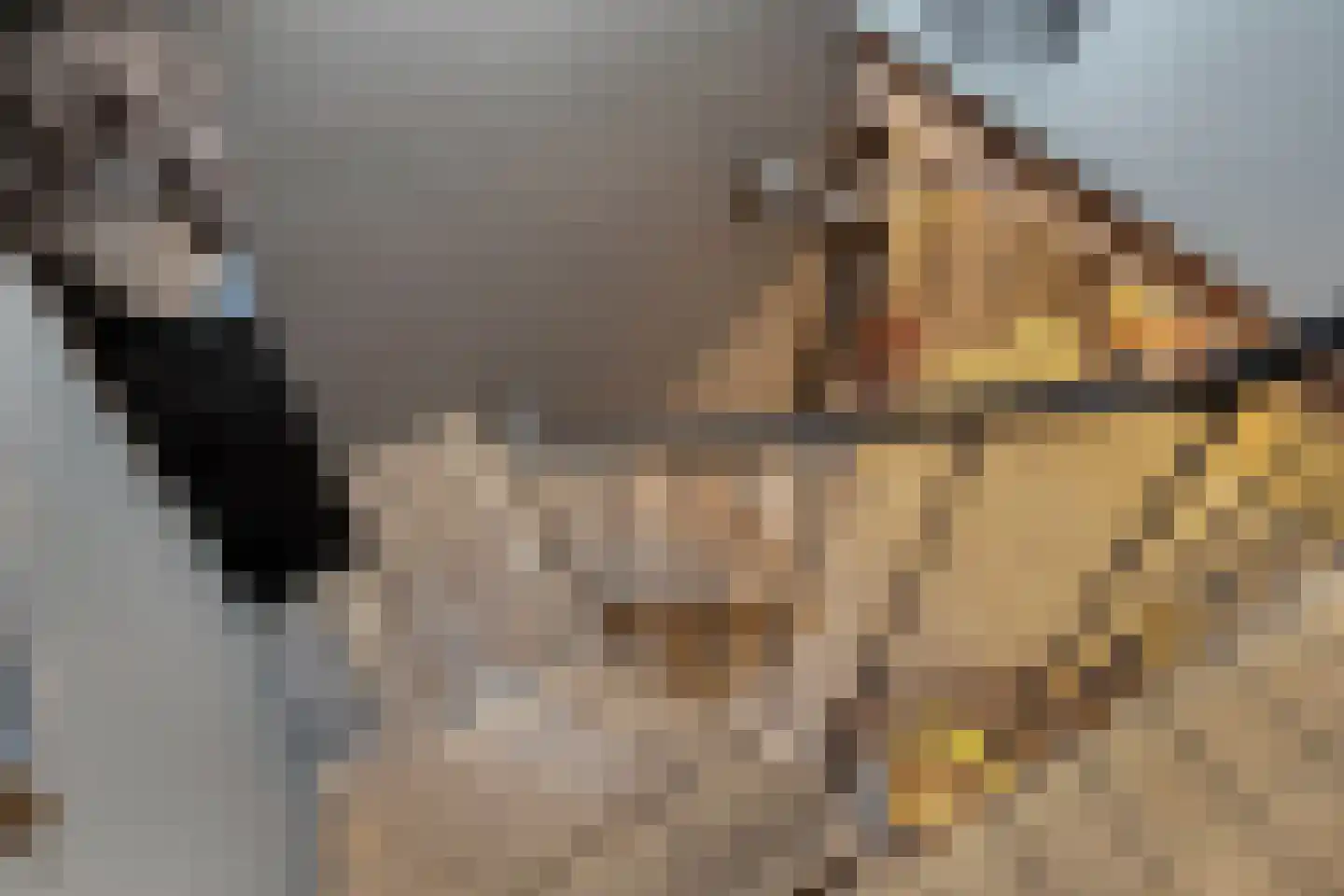 Putakker 3 Boekel thumbnail 42