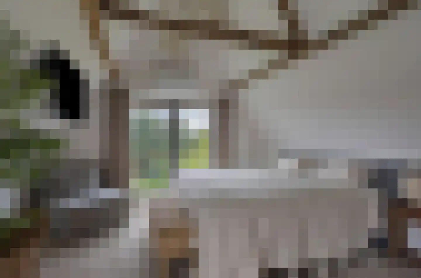 Putakker 3 Boekel thumbnail 44