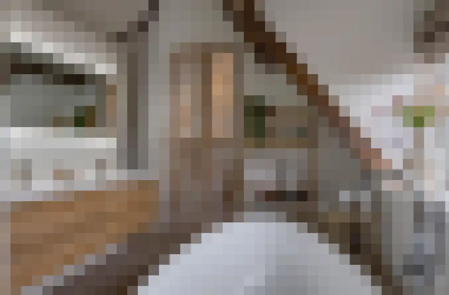 Putakker 3 Boekel thumbnail 45