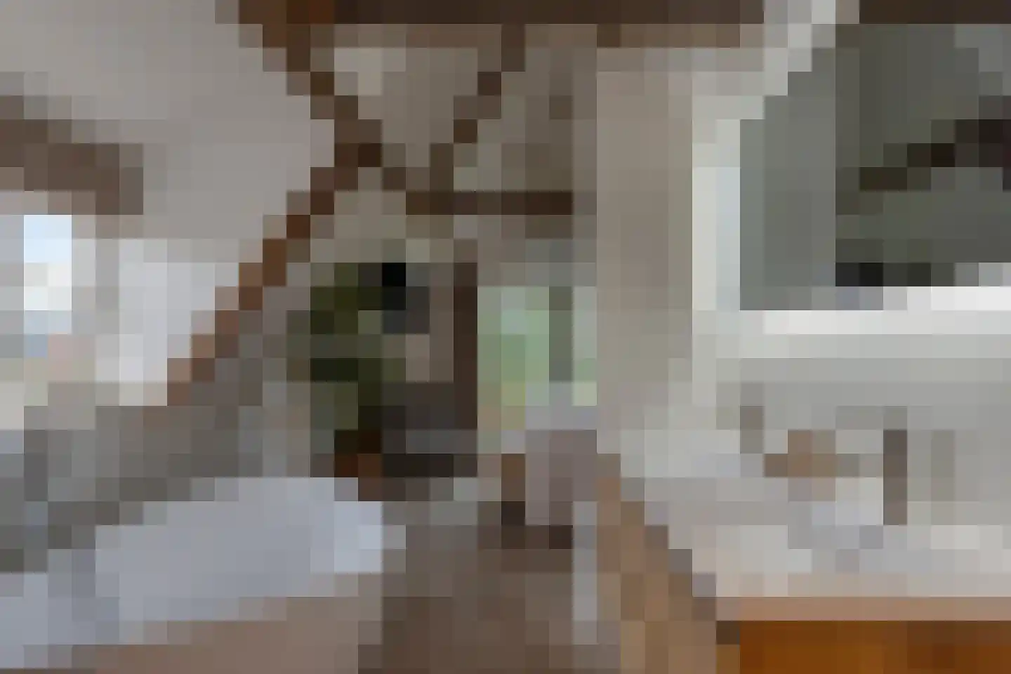 Putakker 3 Boekel thumbnail 46