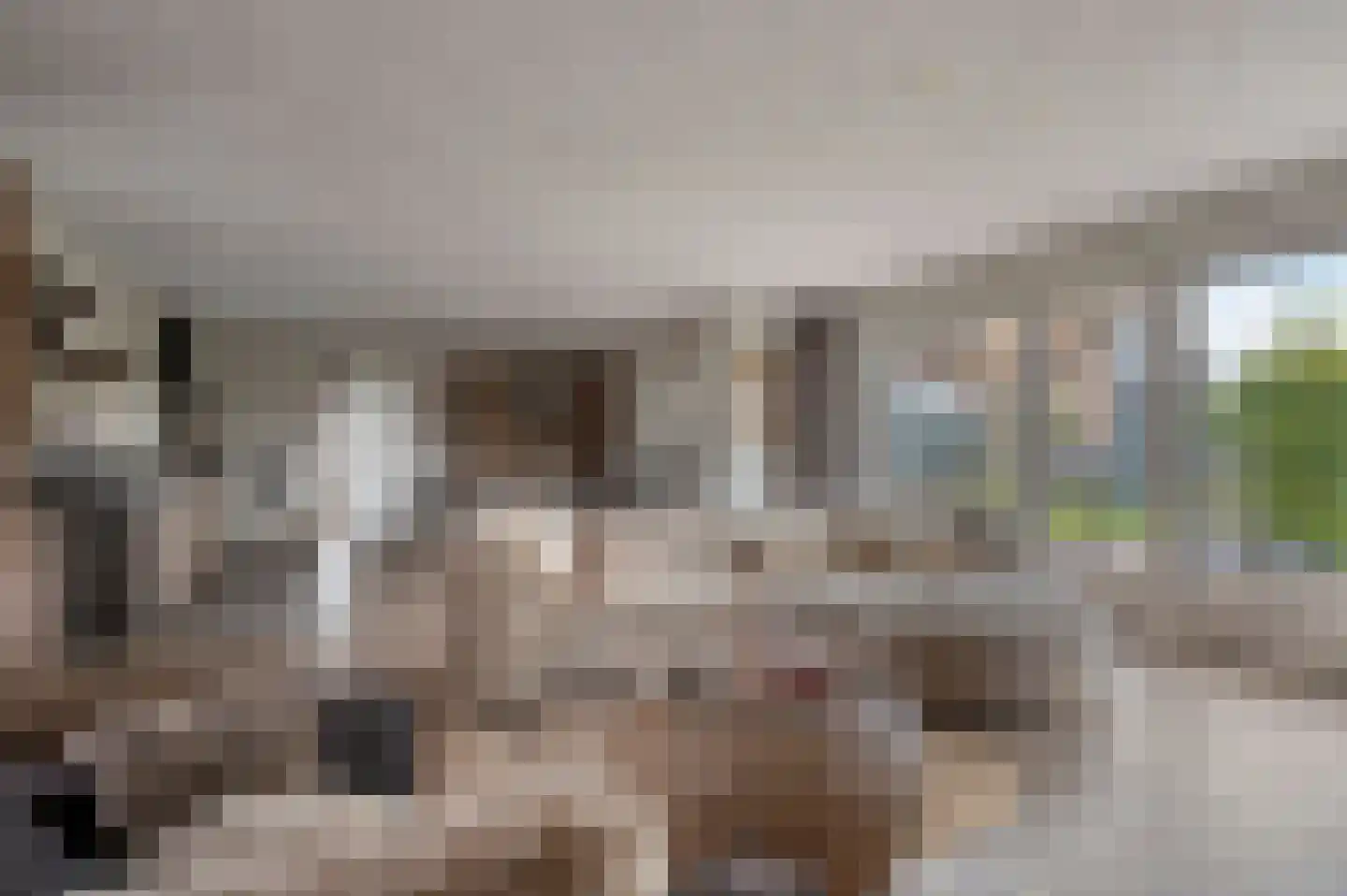 Putakker 3 Boekel thumbnail 5