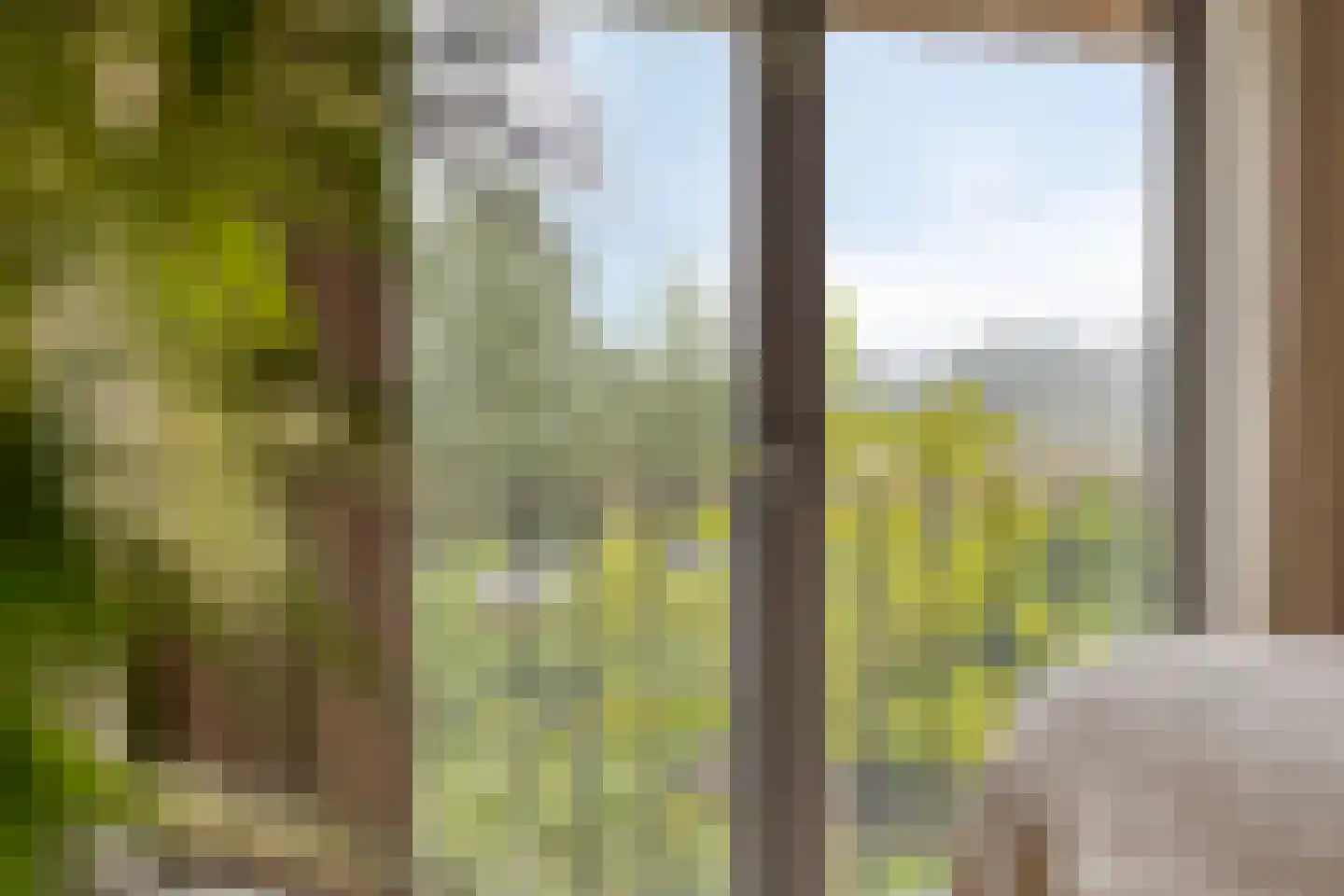 Putakker 3 Boekel thumbnail 50