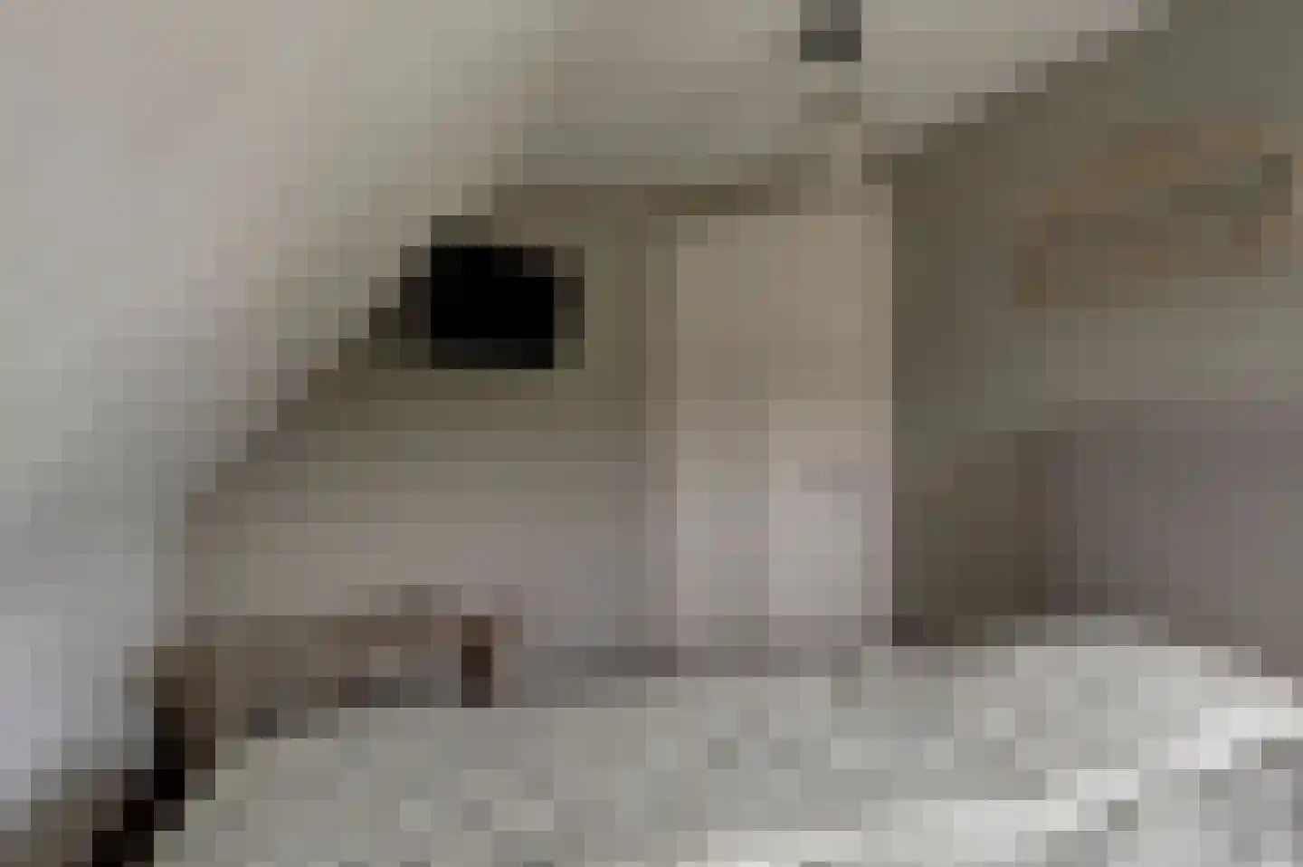Putakker 3 Boekel thumbnail 54