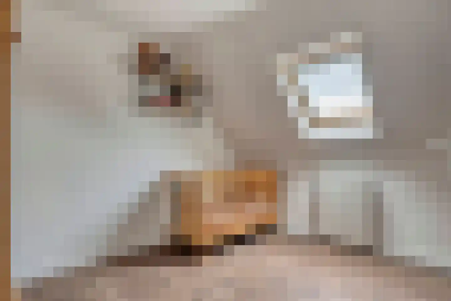 Putakker 3 Boekel thumbnail 58