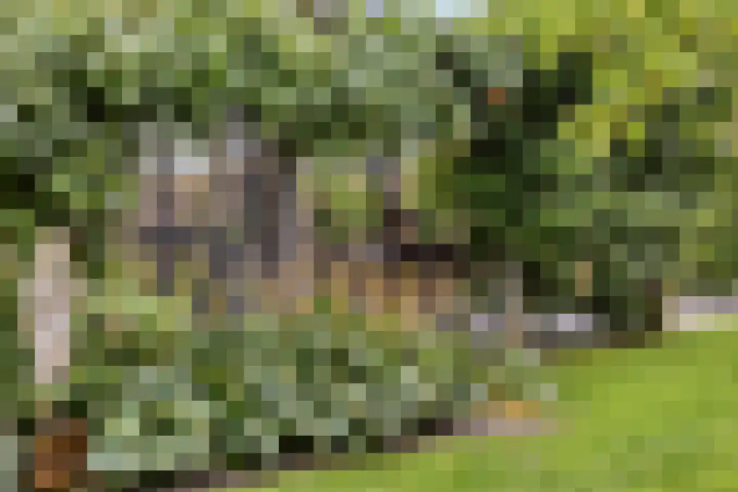 Putakker 3 Boekel thumbnail 6