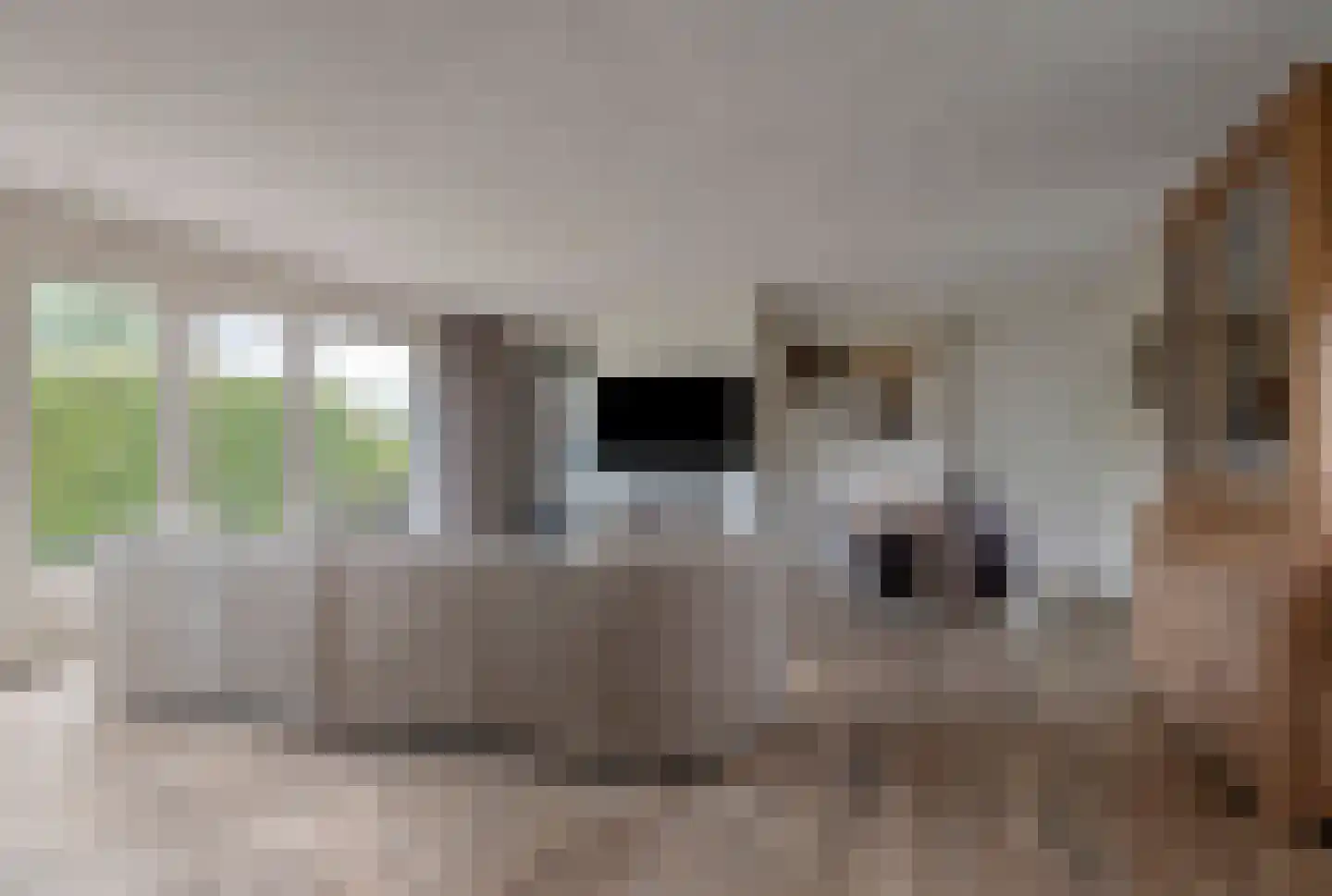 Putakker 3 Boekel thumbnail 61