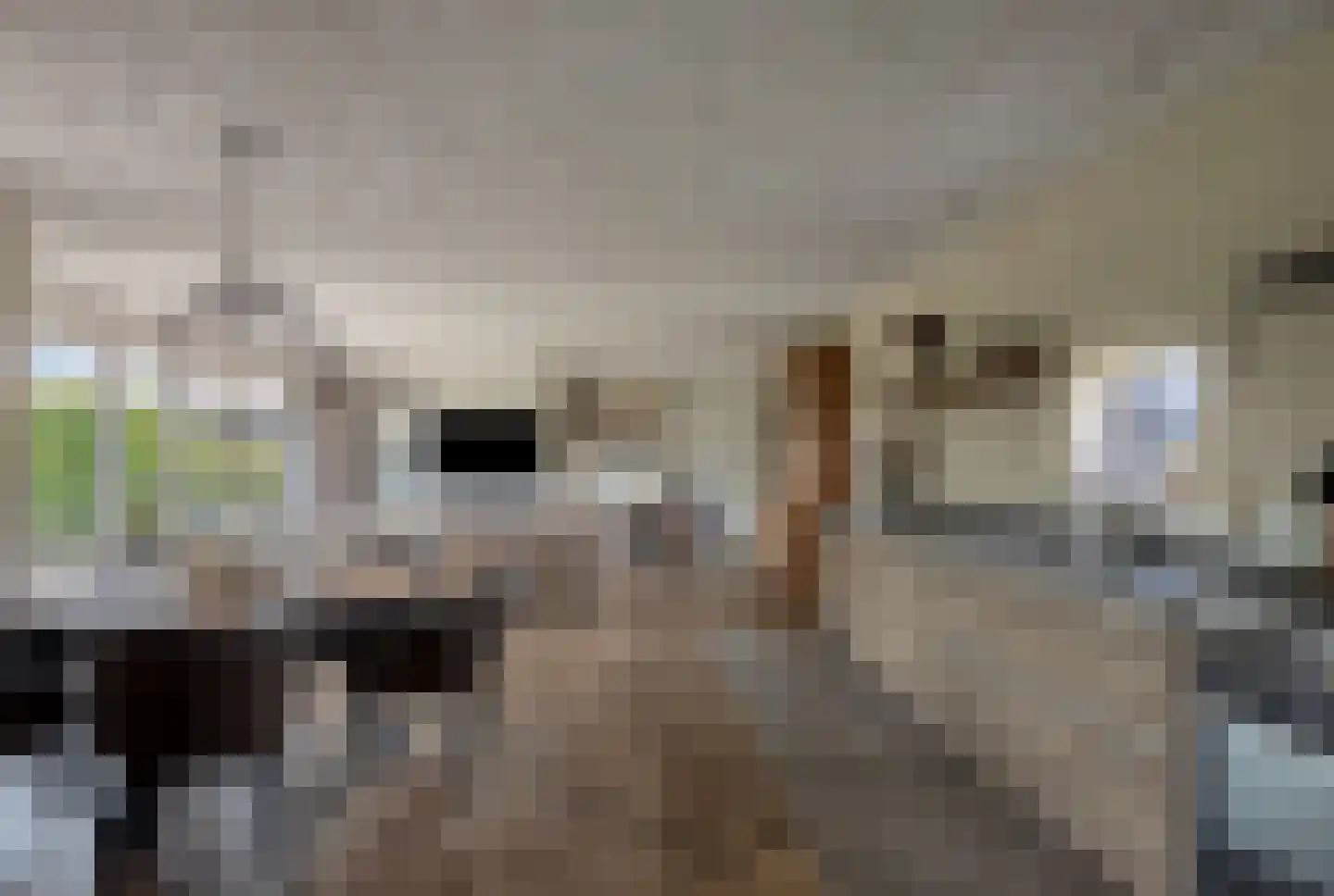 Putakker 3 Boekel thumbnail 66