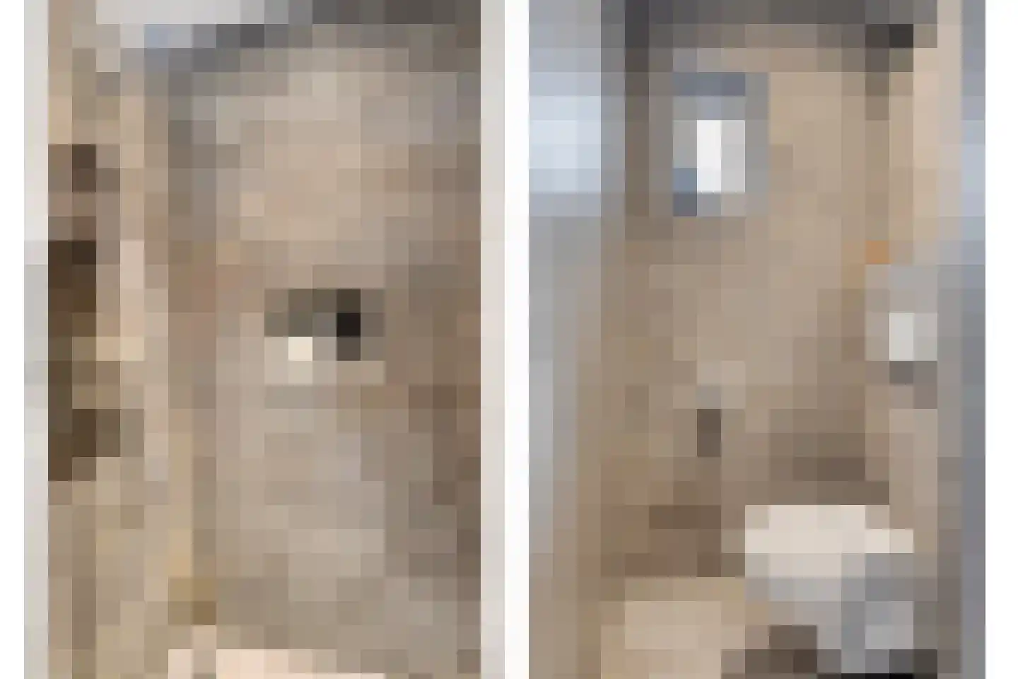 Putakker 3 Boekel thumbnail 68