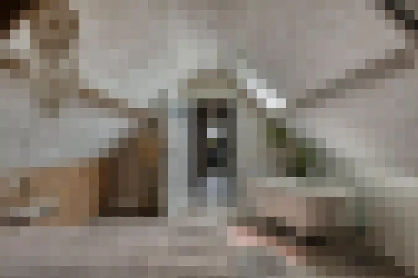 Putakker 3 Boekel thumbnail 71