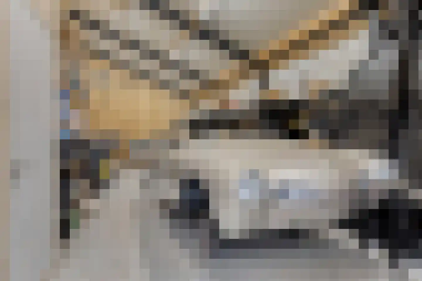 Putakker 3 Boekel thumbnail 73