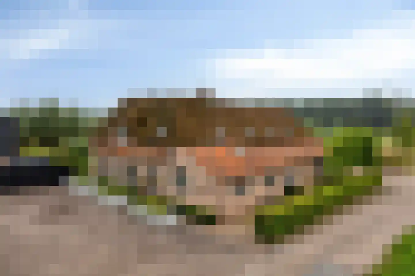 Putakker 3 Boekel thumbnail 75