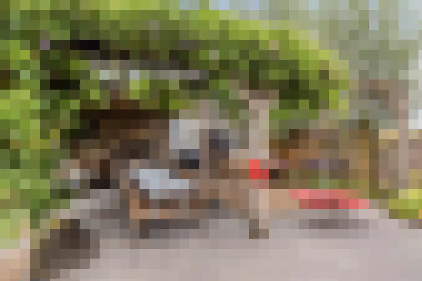 Putakker 3 Boekel thumbnail 78