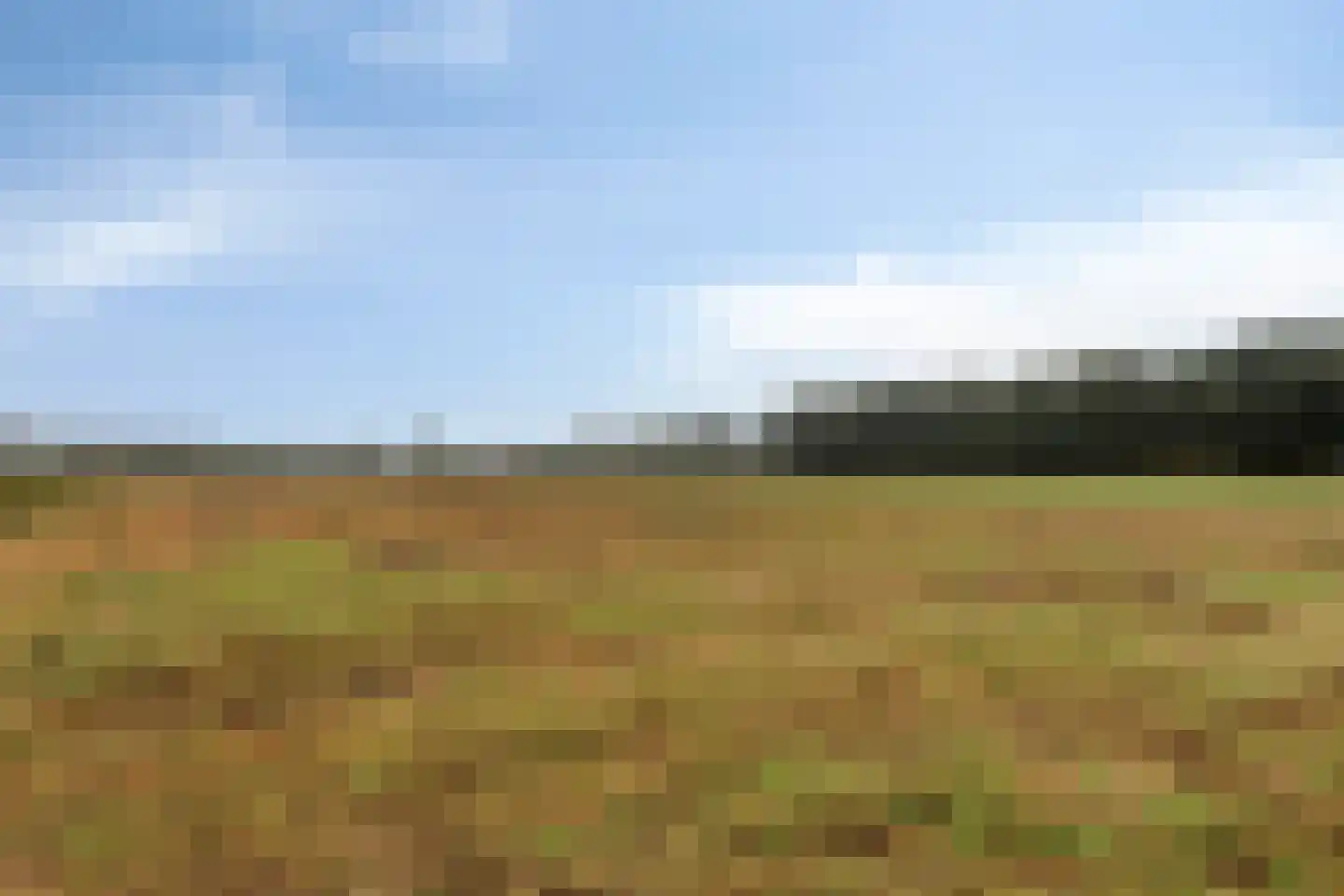 Putakker 3 Boekel thumbnail 80
