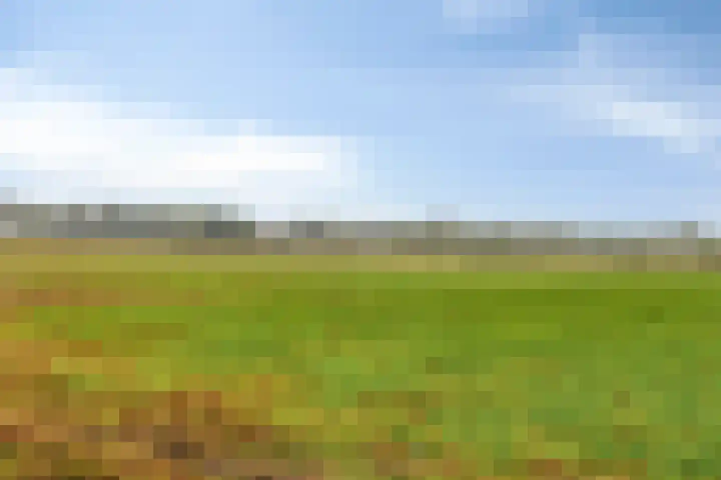 Putakker 3 Boekel thumbnail 81