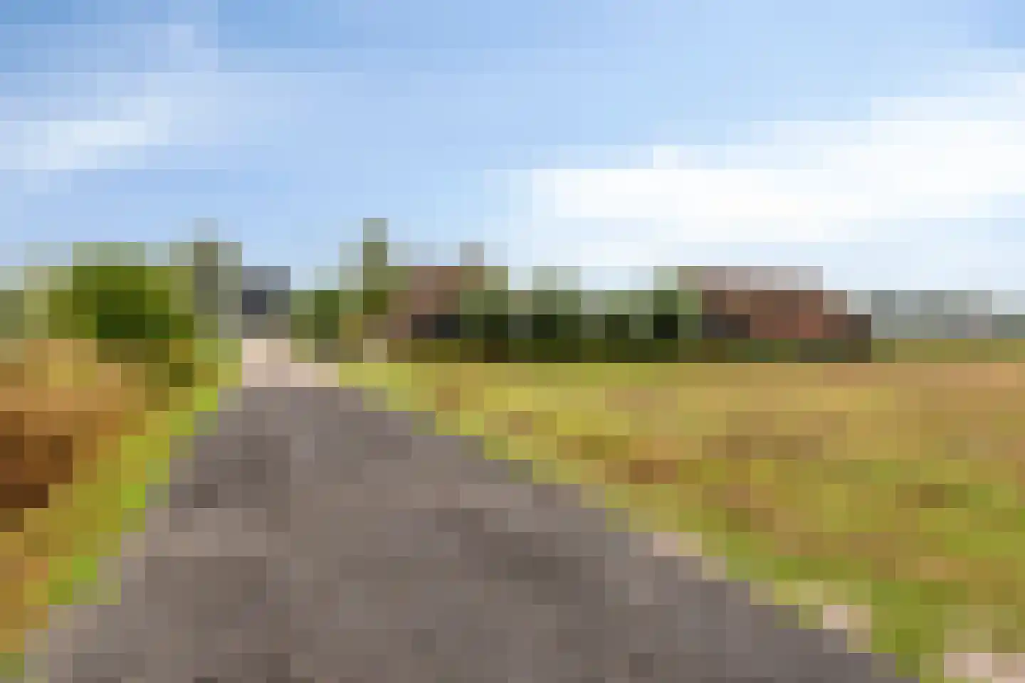 Putakker 3 Boekel thumbnail 83