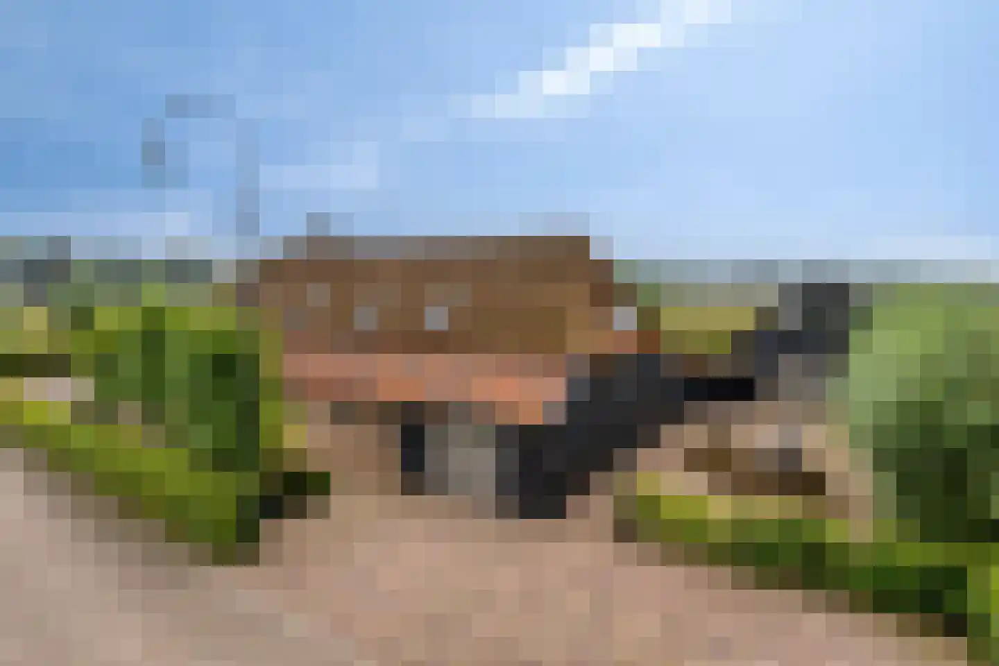 Putakker 3 Boekel thumbnail 84
