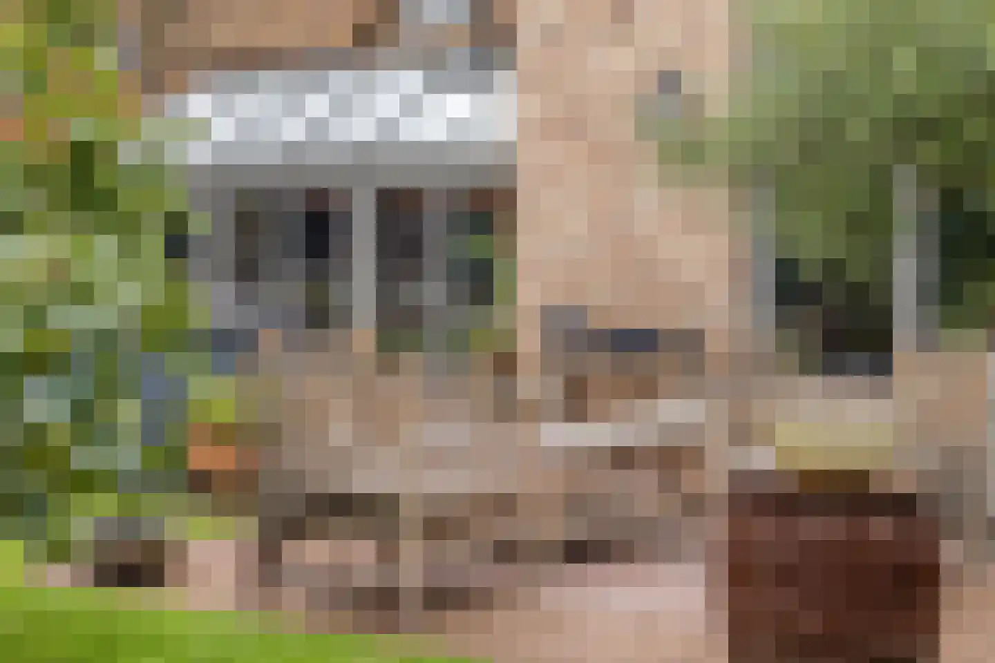 Putakker 3 Boekel thumbnail 9