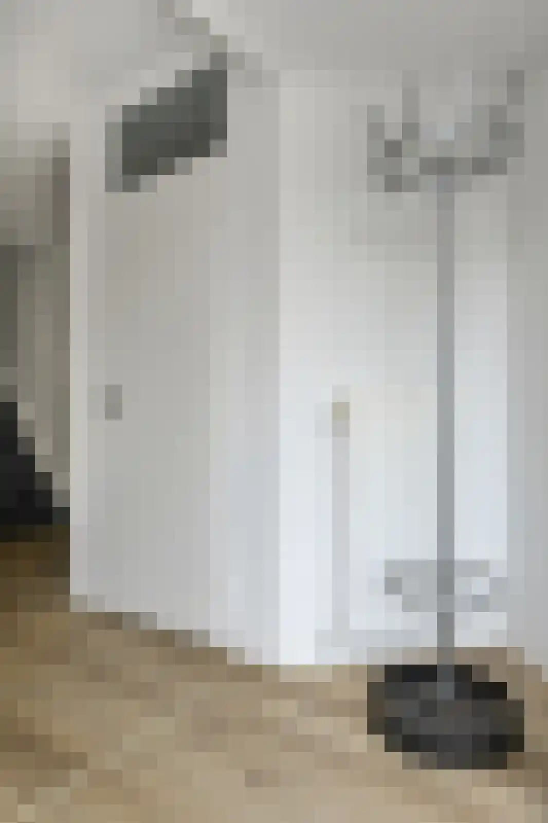 Putakker 41 B Breda thumbnail 15