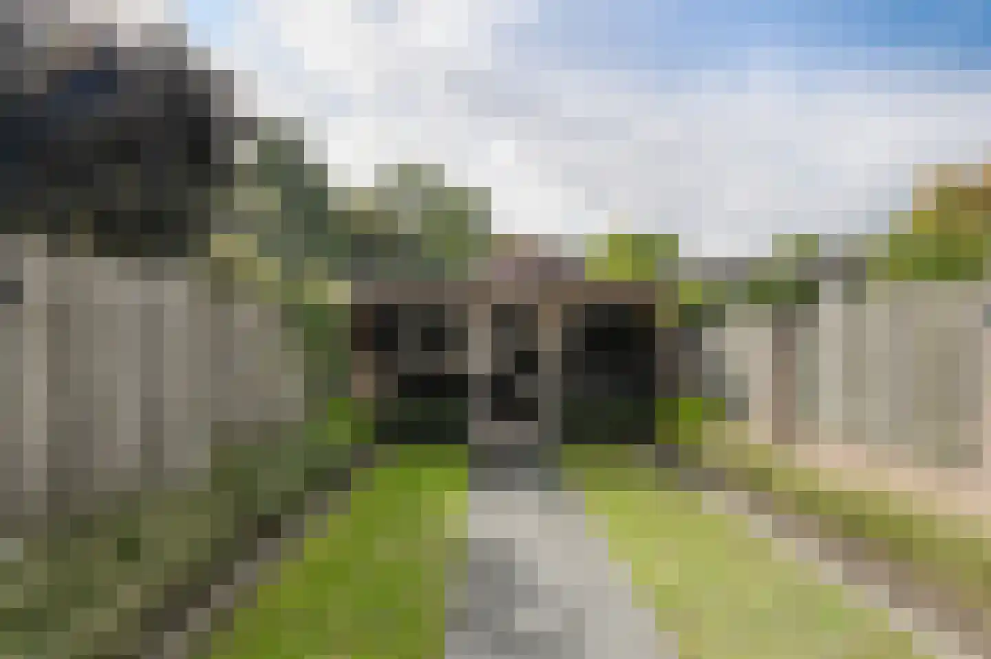 Putakker 41 B Breda thumbnail 38