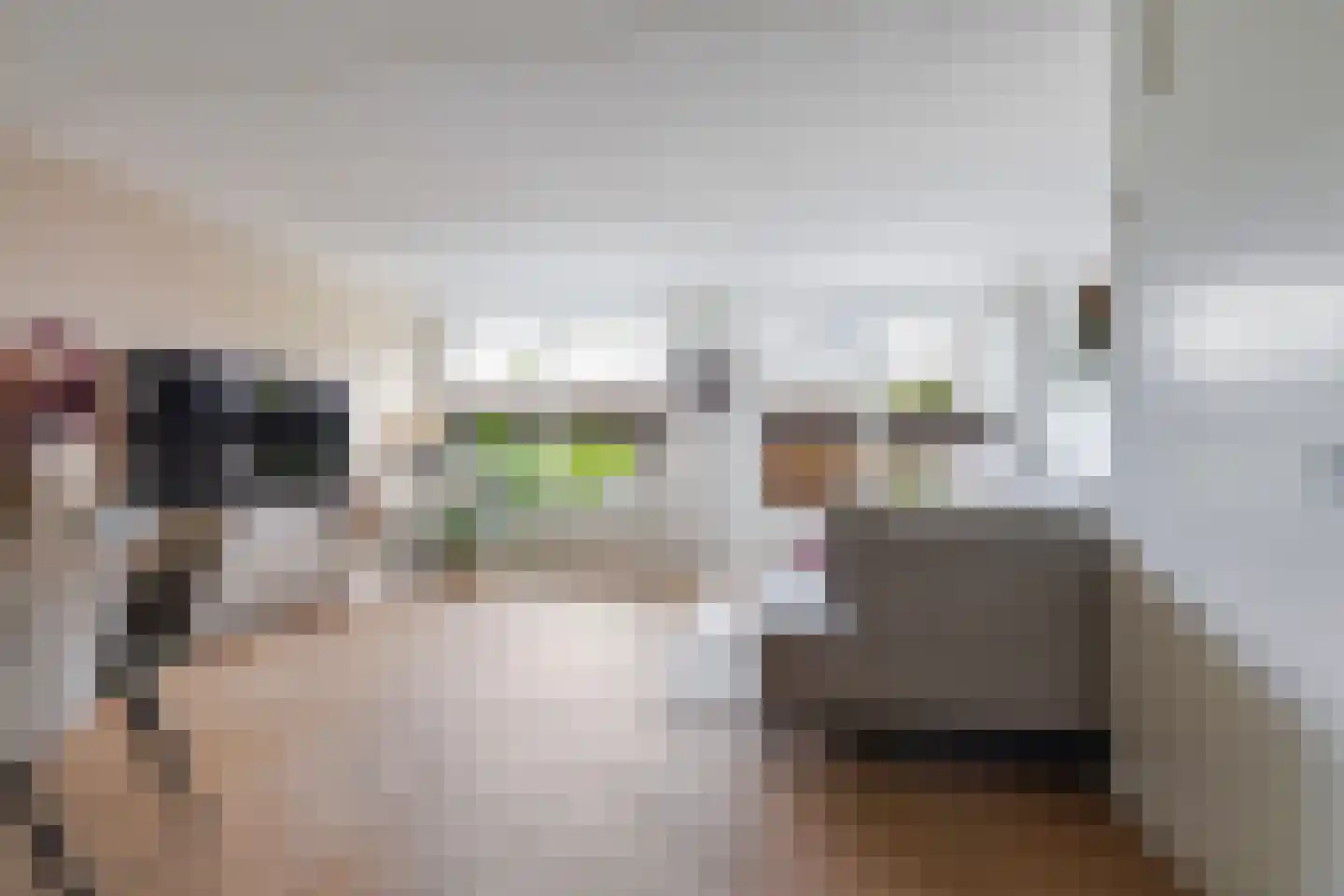 Putakker 49 Boxtel thumbnail 11