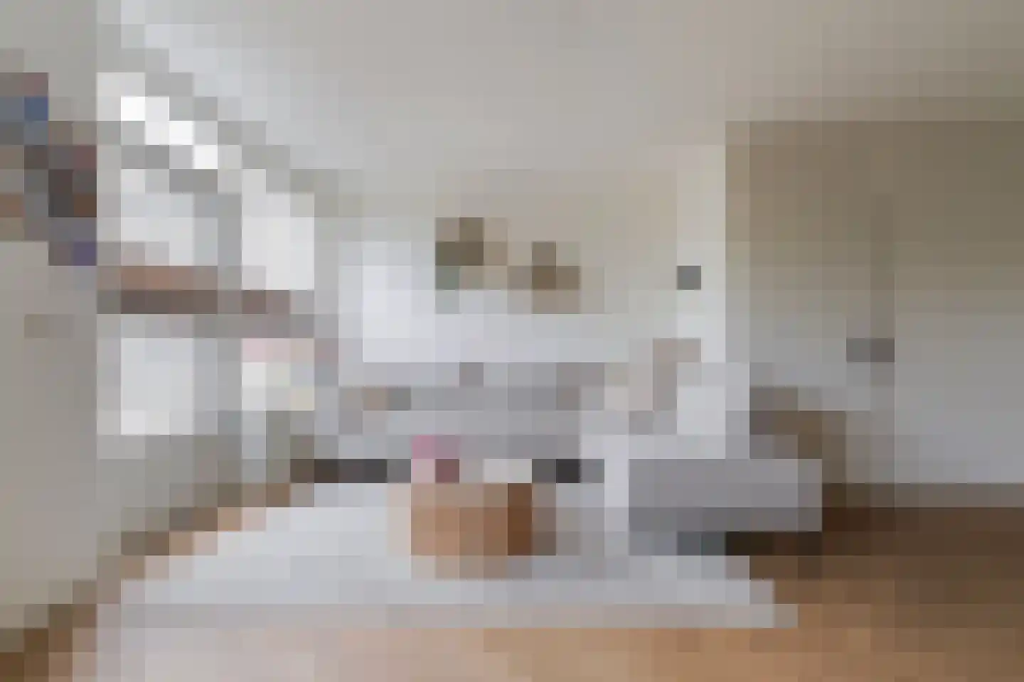 Putakker 49 Boxtel thumbnail 16