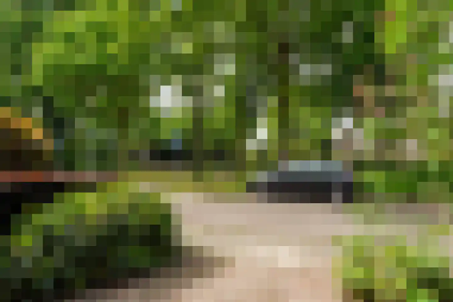 Putakker 49 Boxtel thumbnail 4