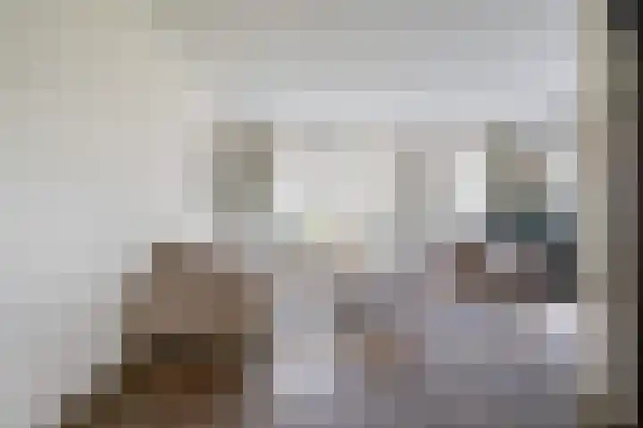 Putakker 9 Boxtel thumbnail 11