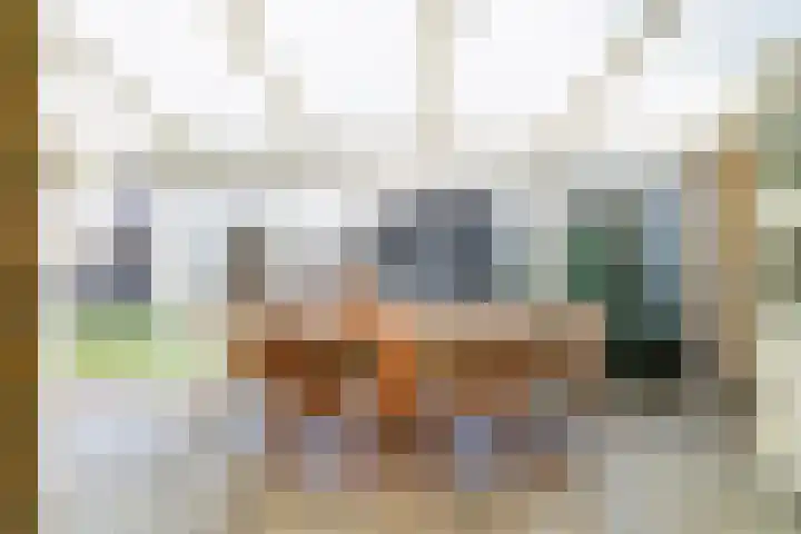 Putakker 9 Boxtel thumbnail 26