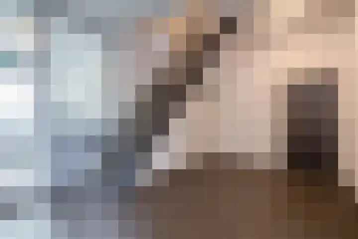 Puteanusstraat 111 Venlo thumbnail 17