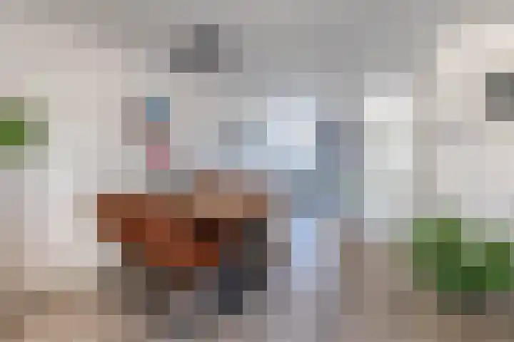 Puteanusstraat 111 Venlo thumbnail 5