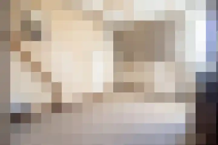 Puteanusstraat 4 Venlo thumbnail 16