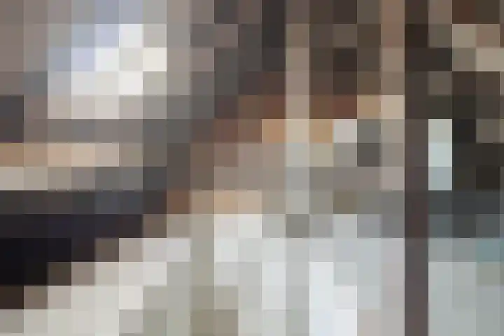 Puteanusstraat 4 Venlo thumbnail 17