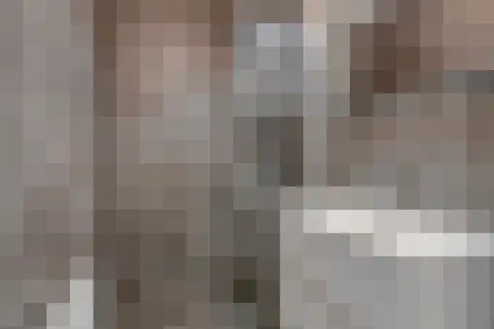Puteanusstraat 47 Venlo thumbnail 13