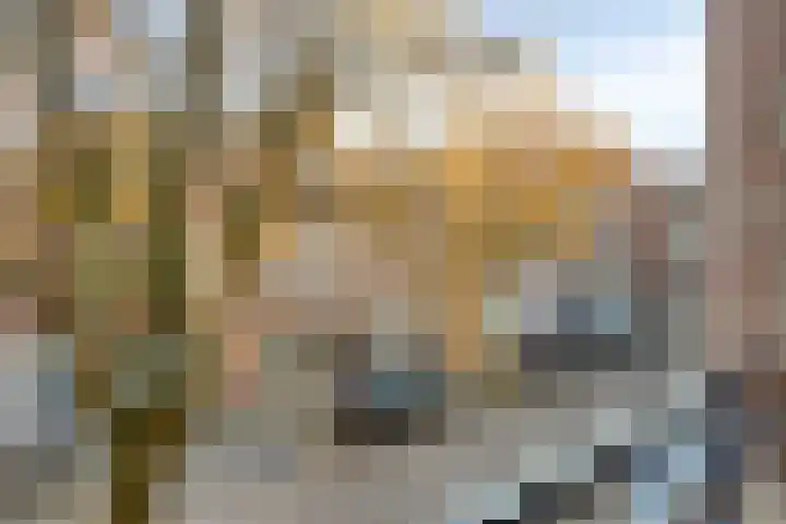 Puteanusstraat 47 Venlo thumbnail 27