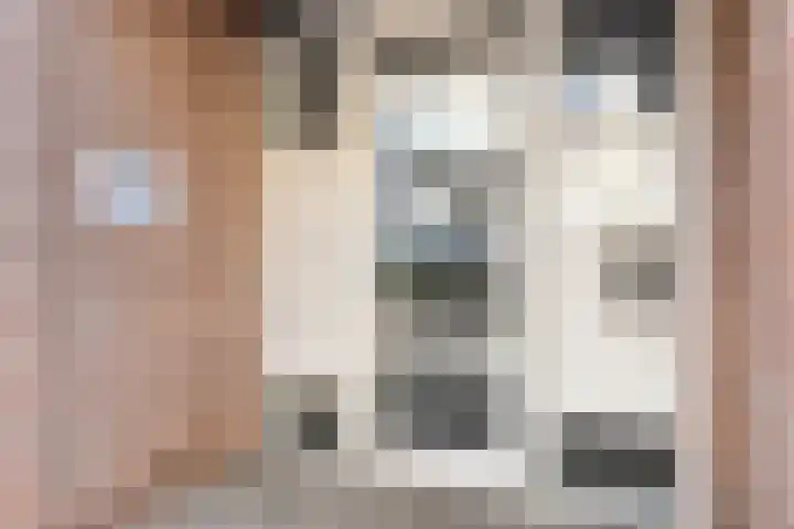 Puteanusstraat 47 Venlo thumbnail 4