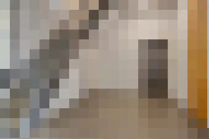 Puteanusstraat 47 Venlo thumbnail 6