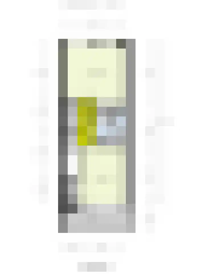 Puteanusstraat 55 Venlo thumbnail 22