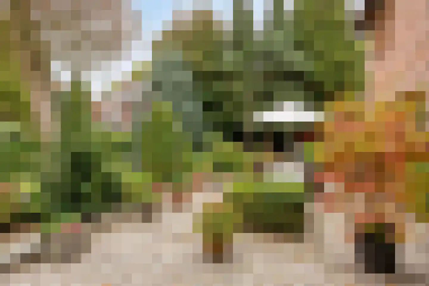 Putgang 2 Kerkrade thumbnail 37